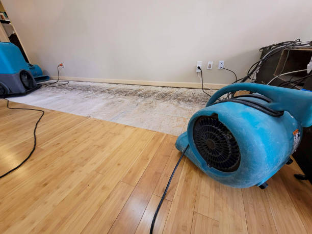 Professional Burst Pipe Water Damage technician working in Atoka, OK